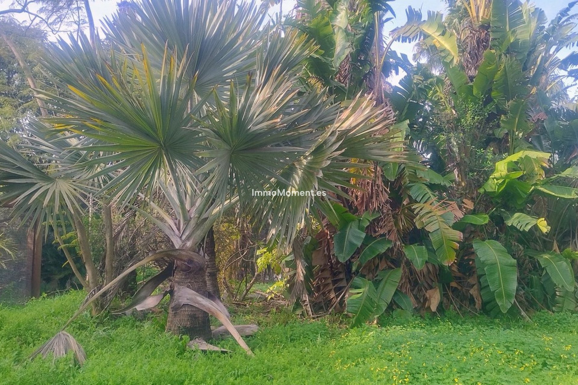 Resale - Land - Marbella - Hacienda Las Chapas