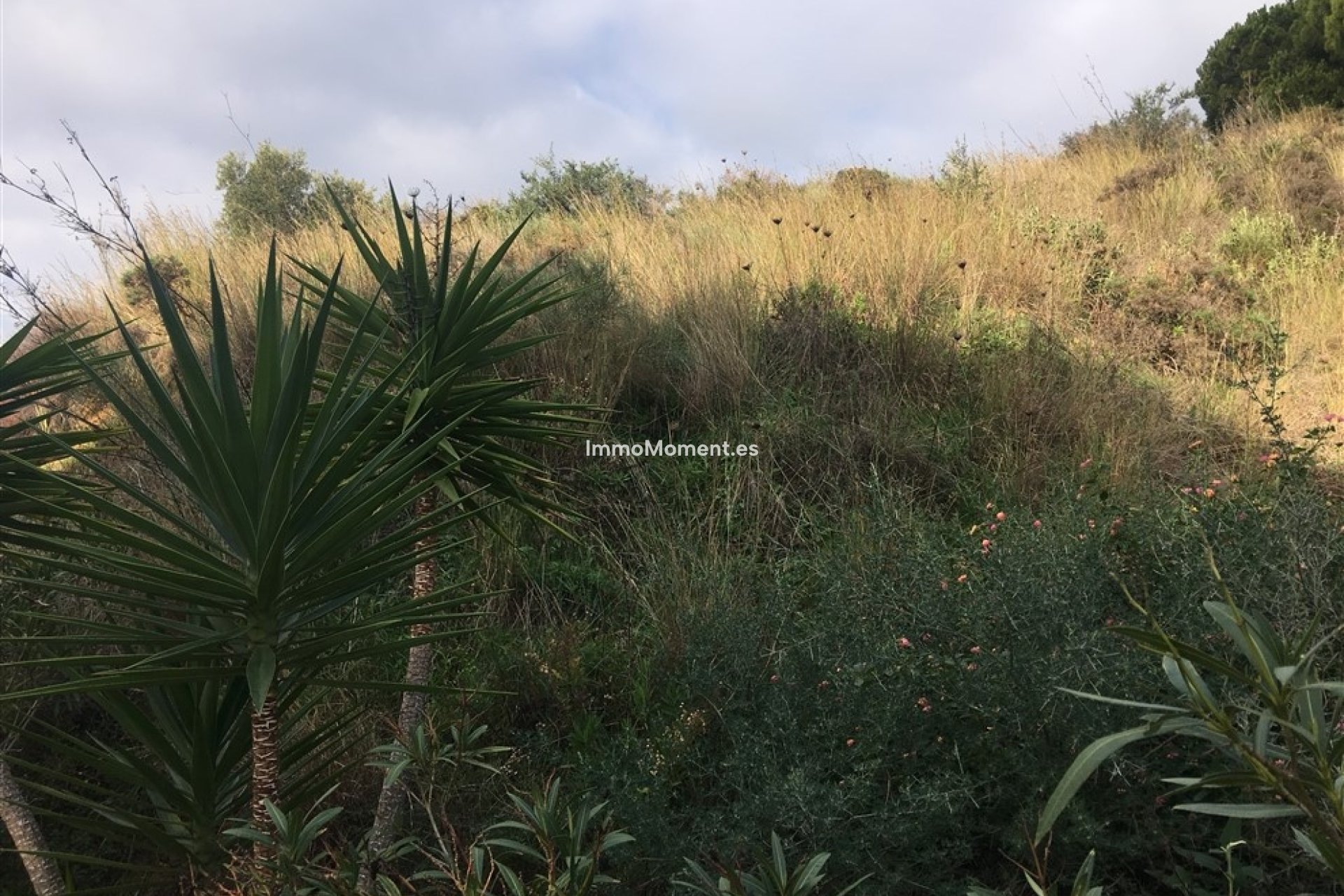 Resale - Land - Mijas - Mijas Centro