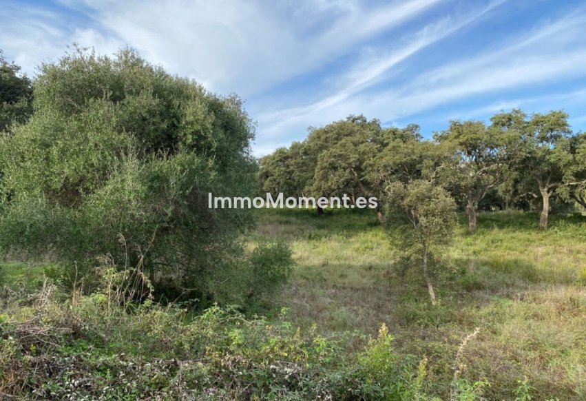 Resale - Land - Sotogrande - San Roque Club