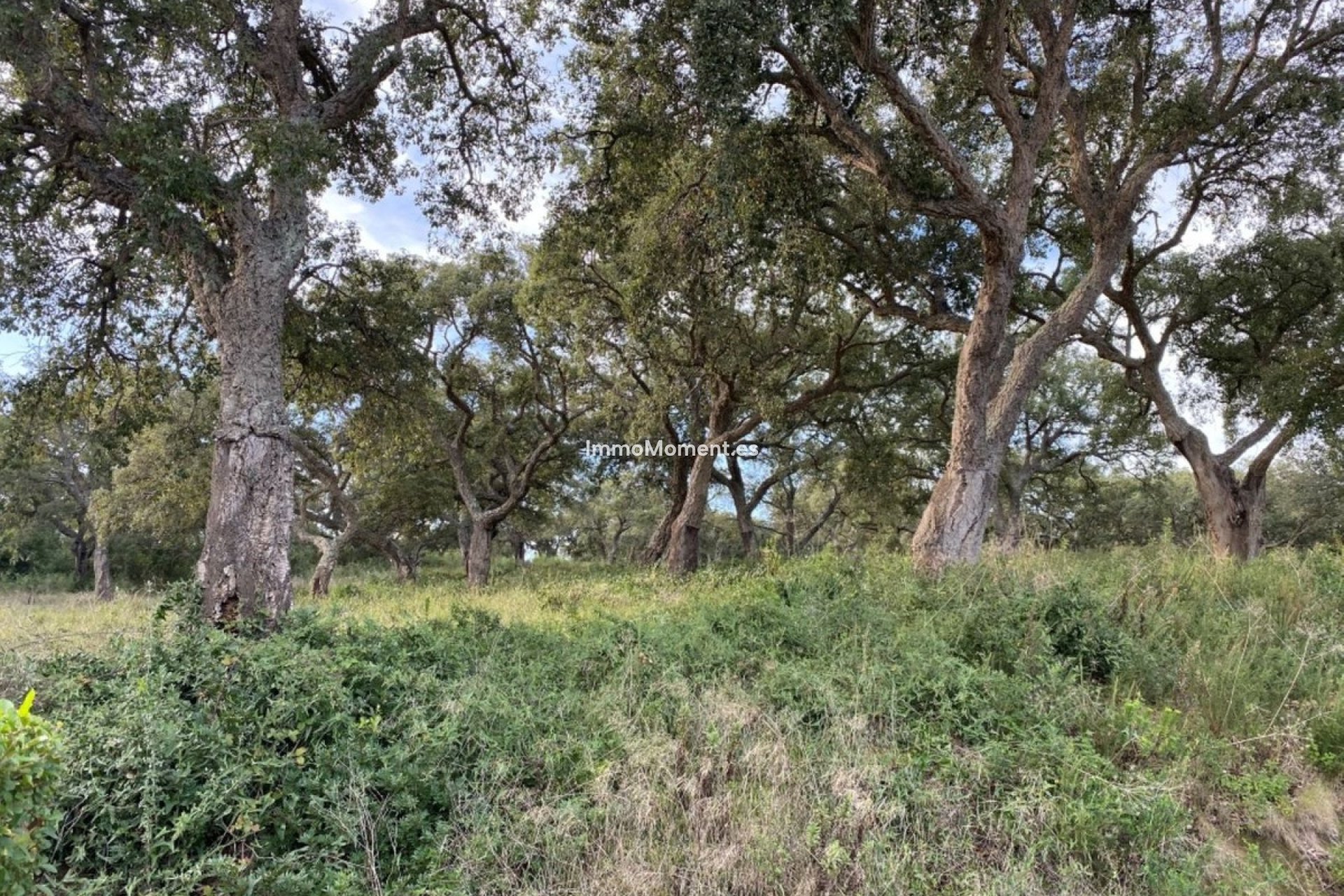 Resale - Land - Sotogrande - San Roque Club