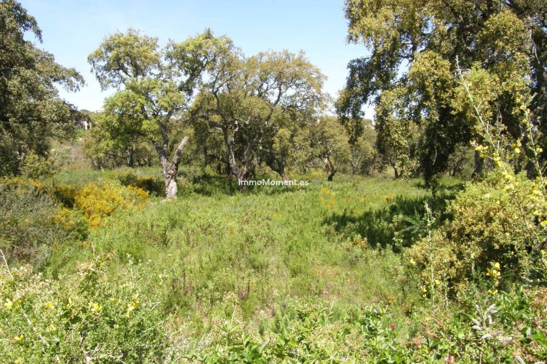 Resale - Land - Sotogrande - San Roque Club