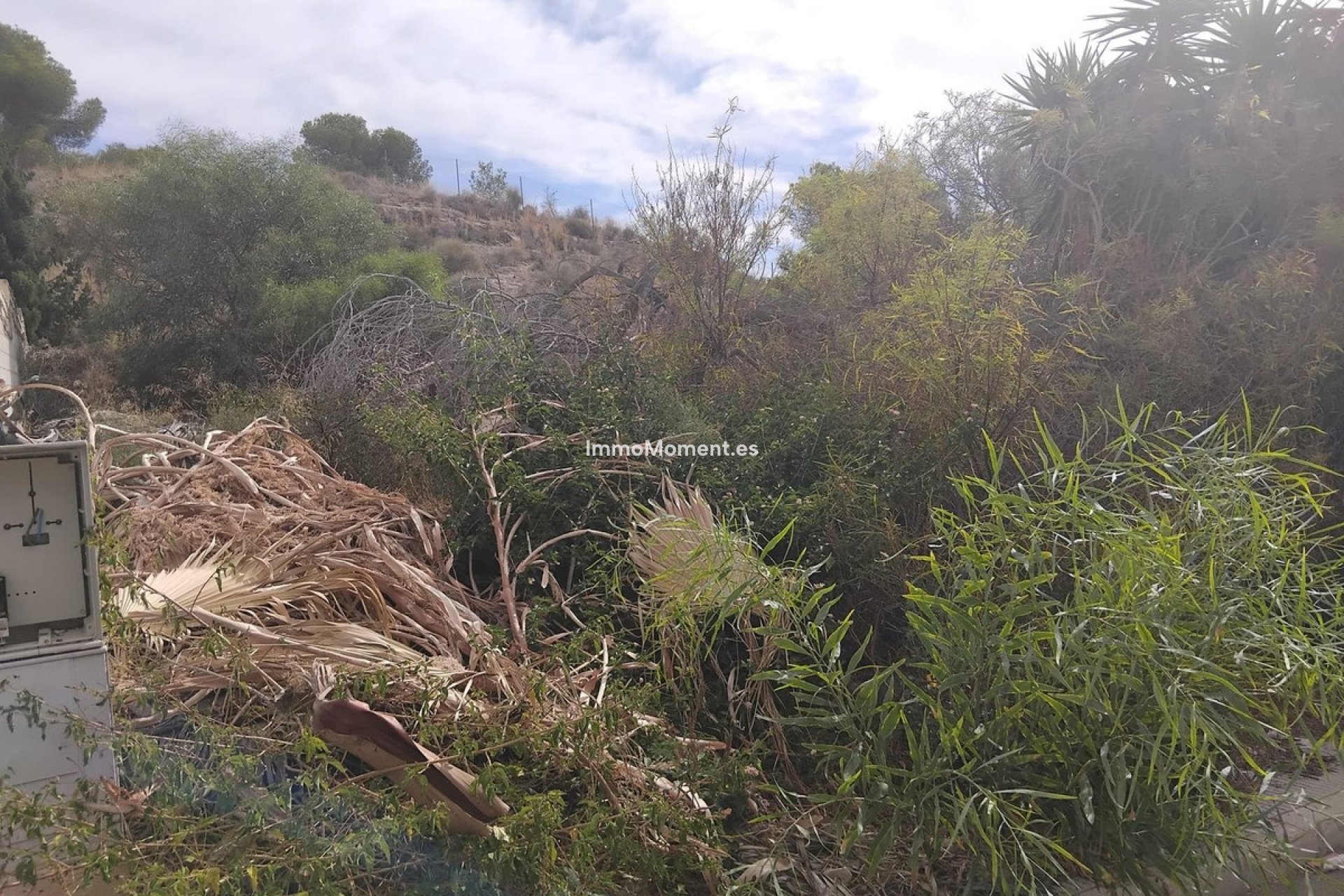 Resale - Plot - Algorfa - Algorfa Centro