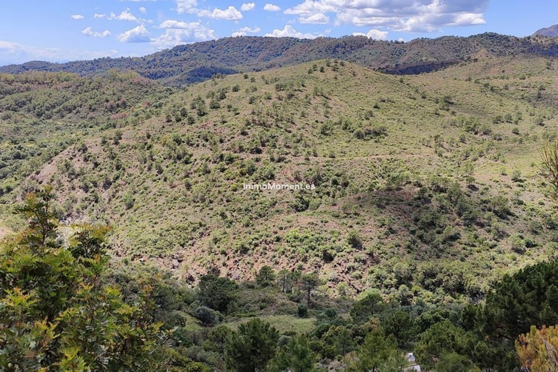 Resale - Plot - Benahavís - Benahavís Centro