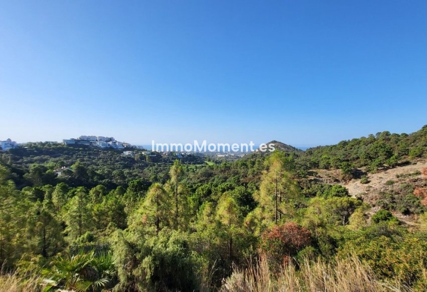 Resale - Plot - Benahavís - Benahavís Centro