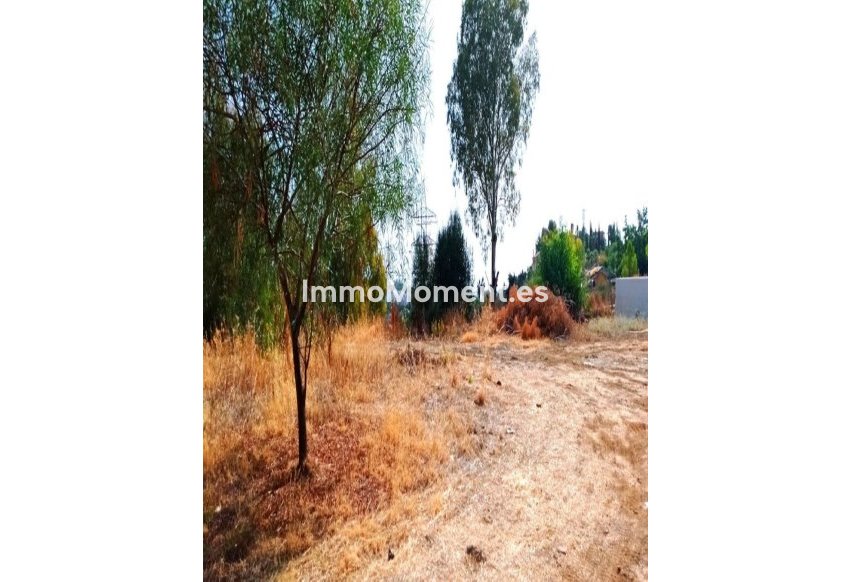 Resale - Plot - Benahavís - La Quinta