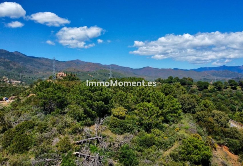 Resale - Plot - Estepona - Estepona Centro