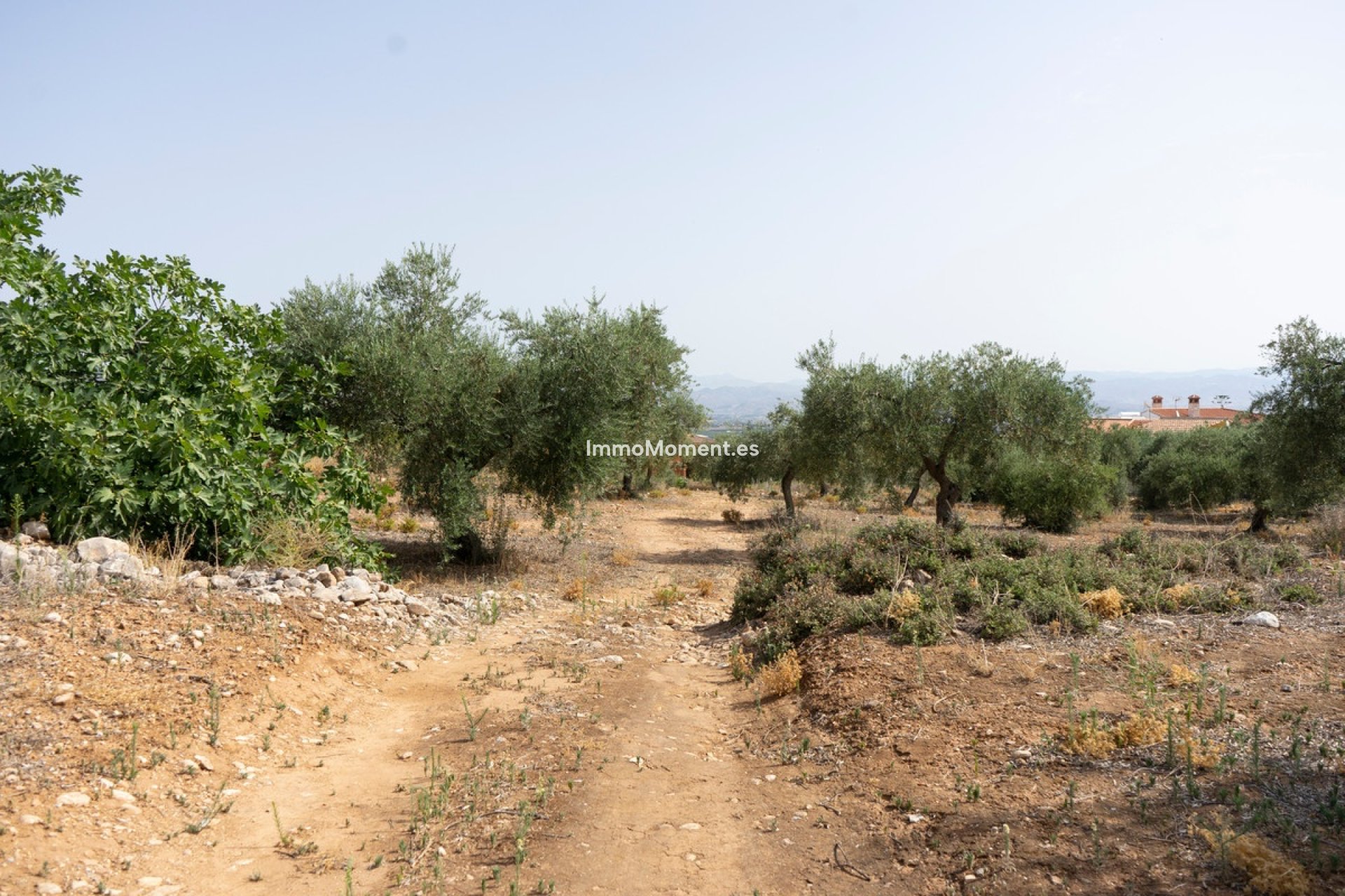 Resale - Plot - Inland  - Alhaurín de la Torre