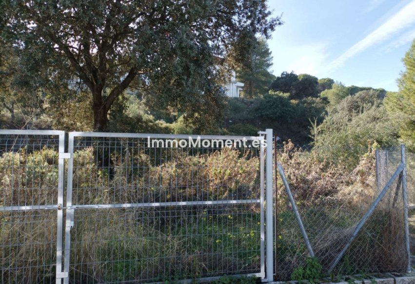 Resale - Plot - Inland  - Alhaurín el Grande Centro
