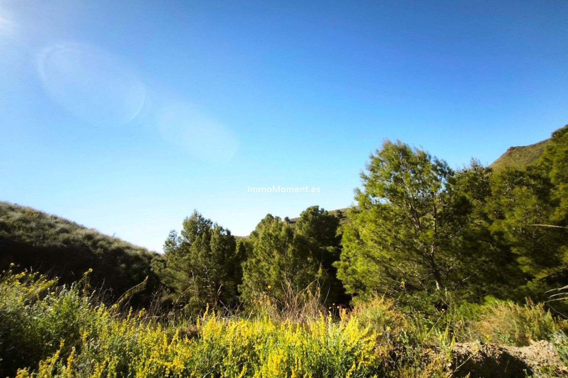 Resale - Plot - Lorca - Lorca Centro