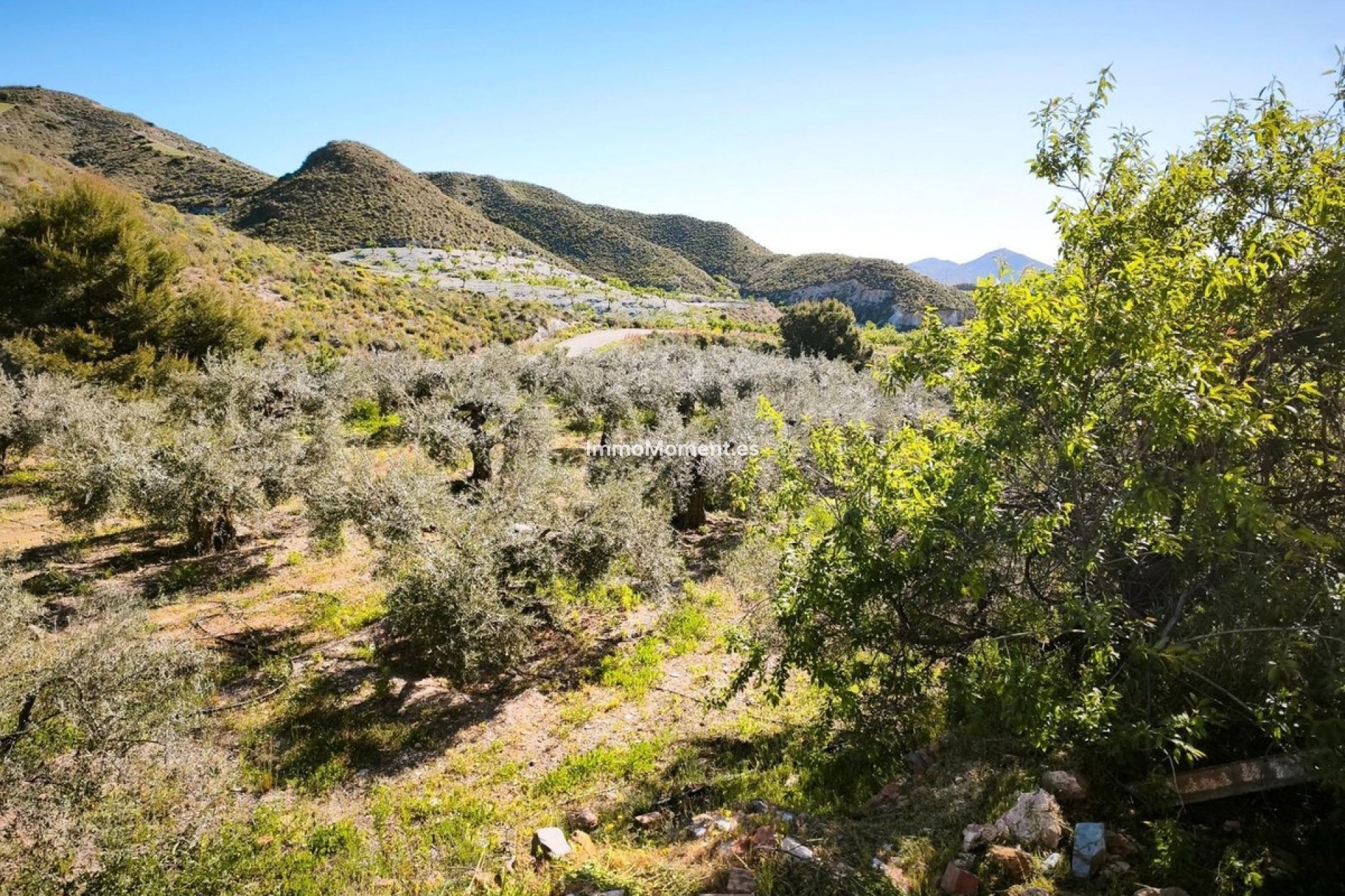 Resale - Plot - Lorca - Lorca Centro