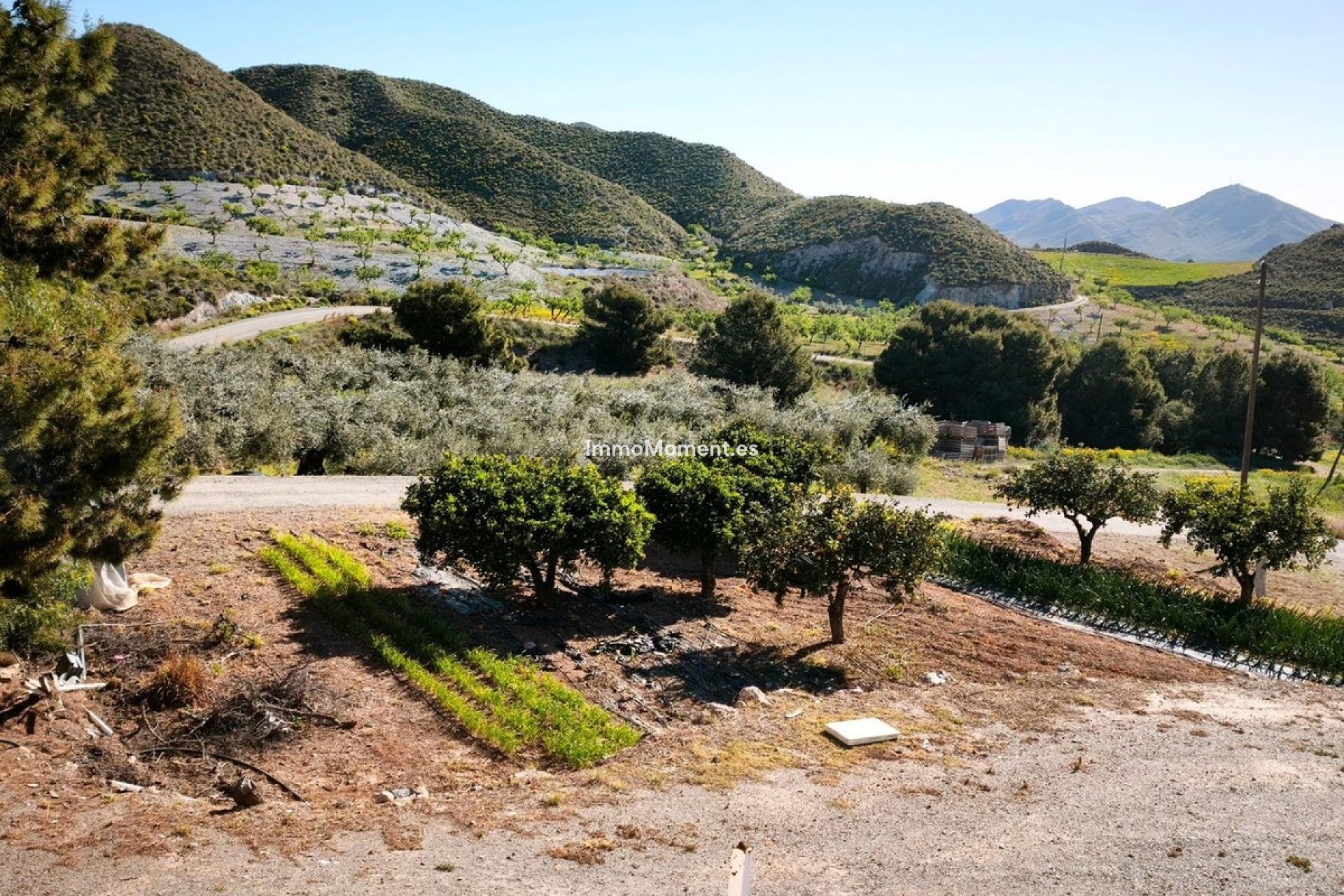Resale - Plot - Lorca - Lorca Centro