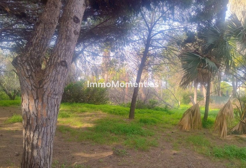 Resale - Plot - Marbella - Hacienda Las Chapas