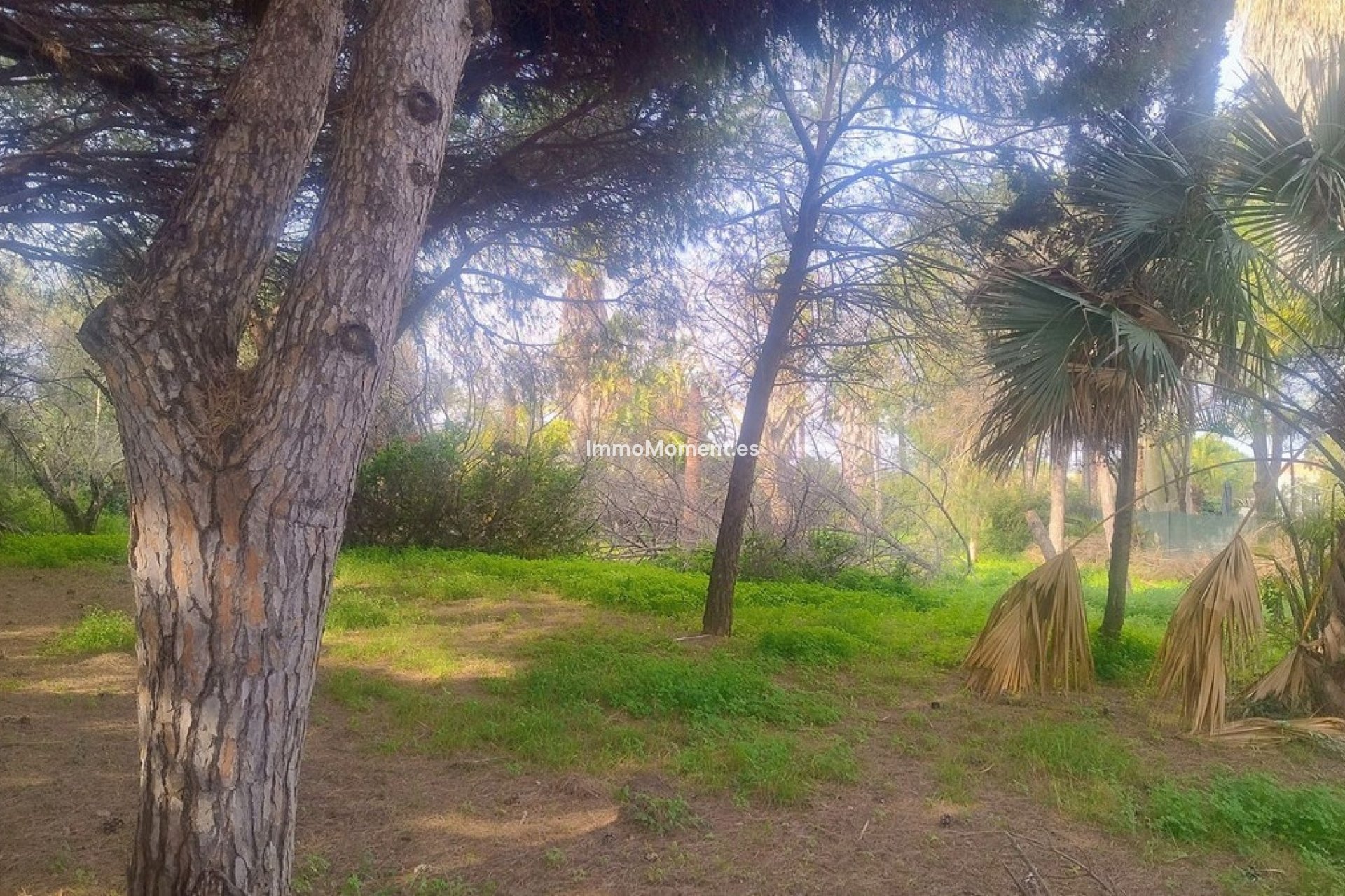 Resale - Plot - Marbella - Hacienda Las Chapas