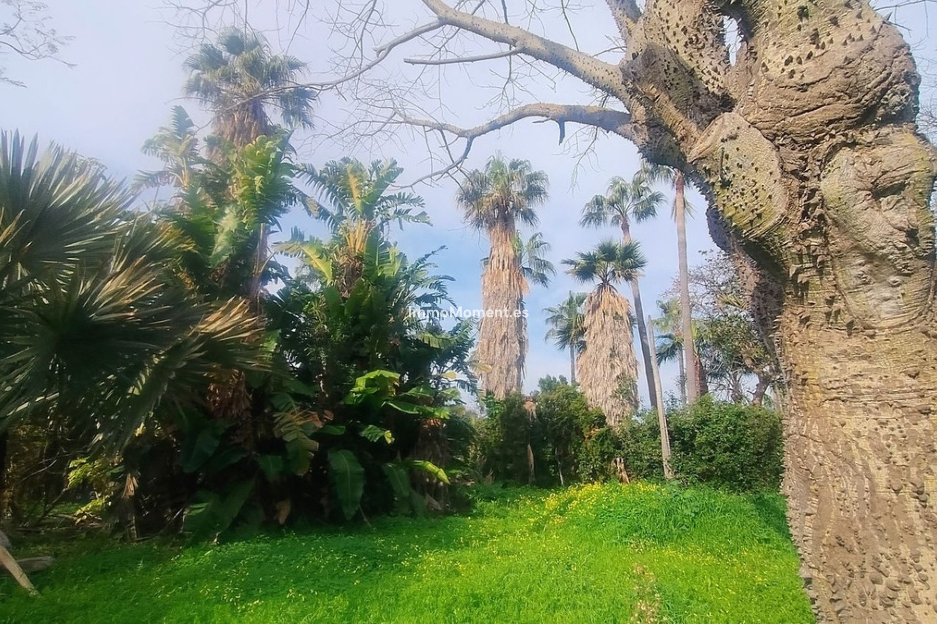 Resale - Plot - Marbella - Hacienda Las Chapas