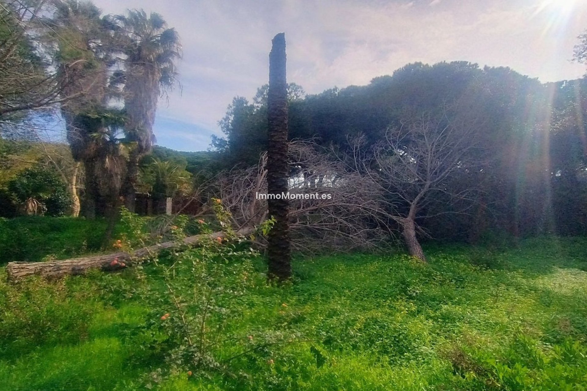 Resale - Plot - Marbella - Hacienda Las Chapas