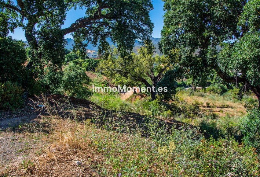 Resale - Plot - Marbella - La Mairena