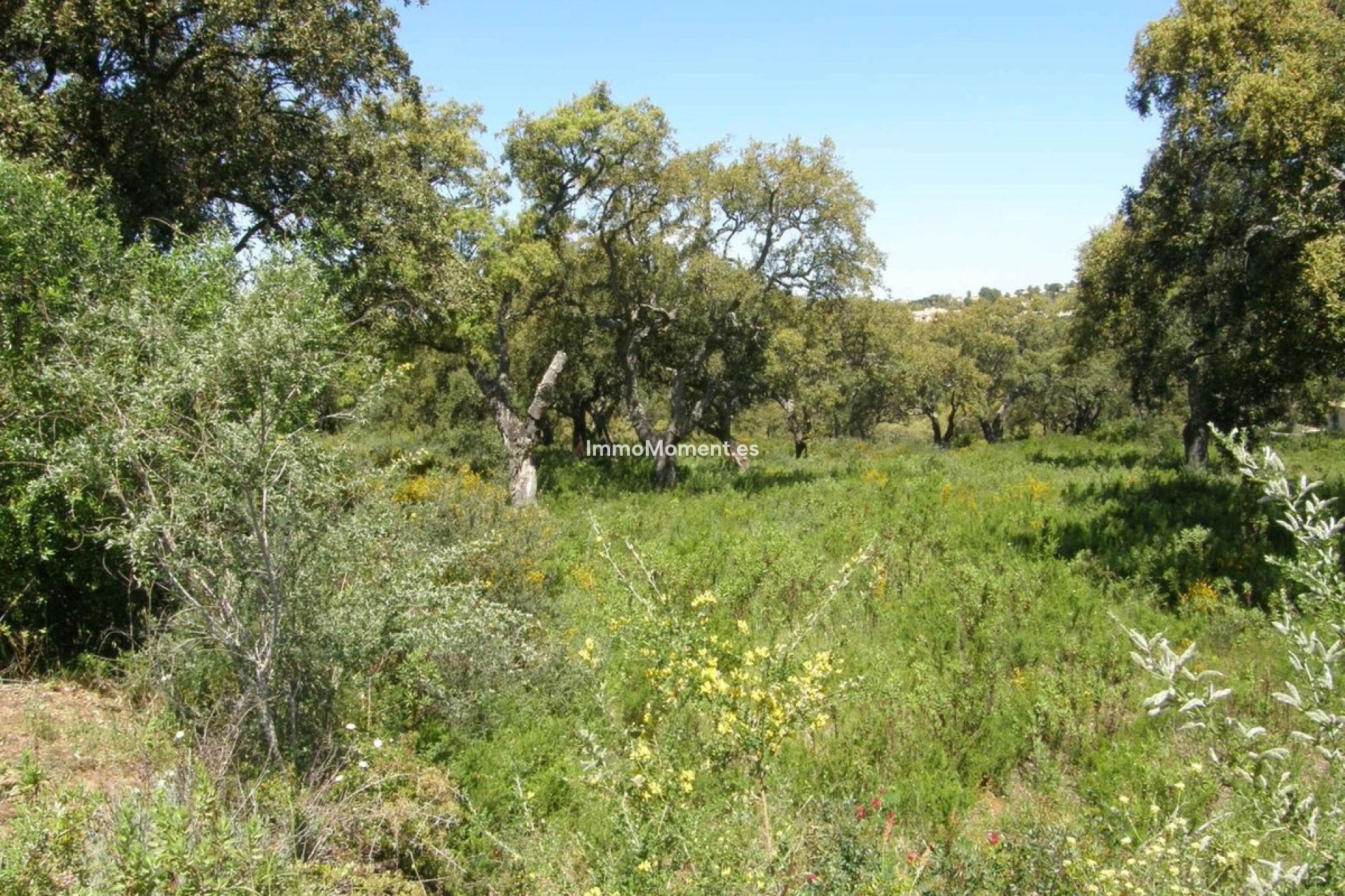 Resale - Plot - Sotogrande - San Roque Club
