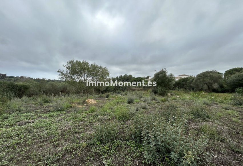 Resale - Plot - Sotogrande - Sotogrande Alto