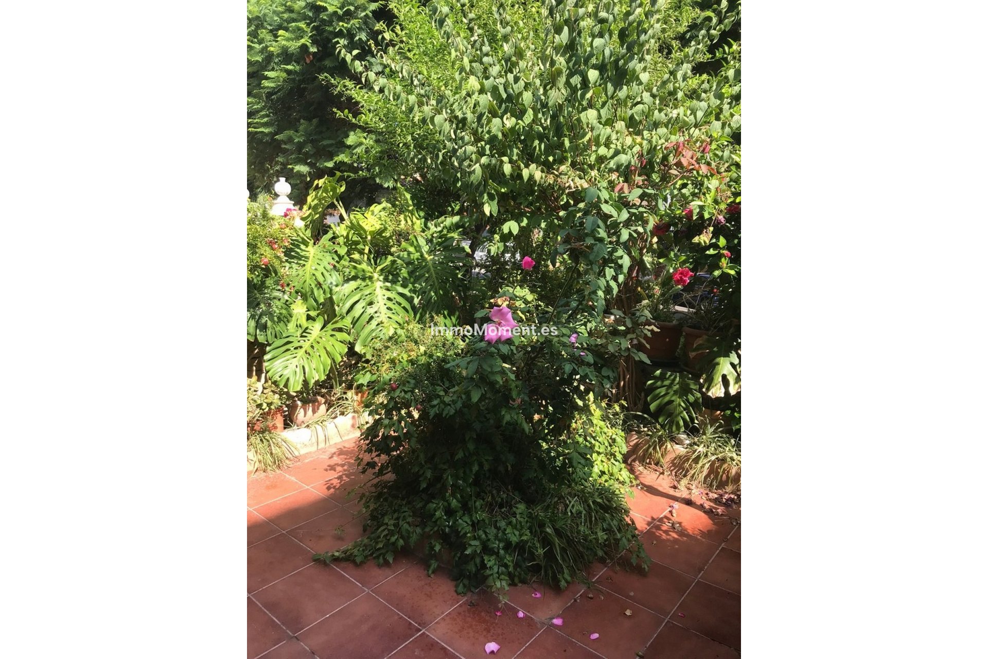 Resale - Townhouse - Estepona - Estepona Centro