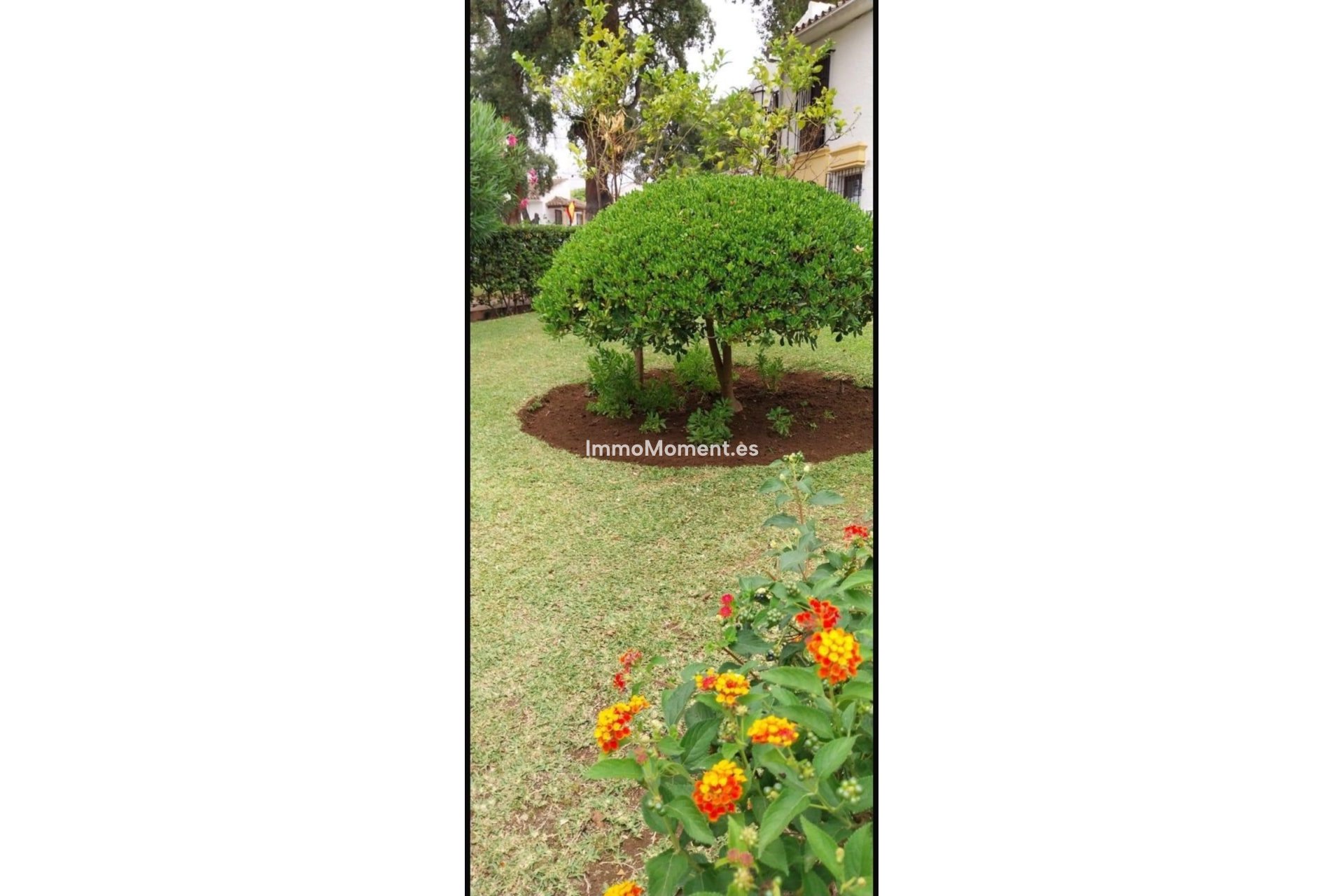 Resale - Townhouse - Marbella - Elviria