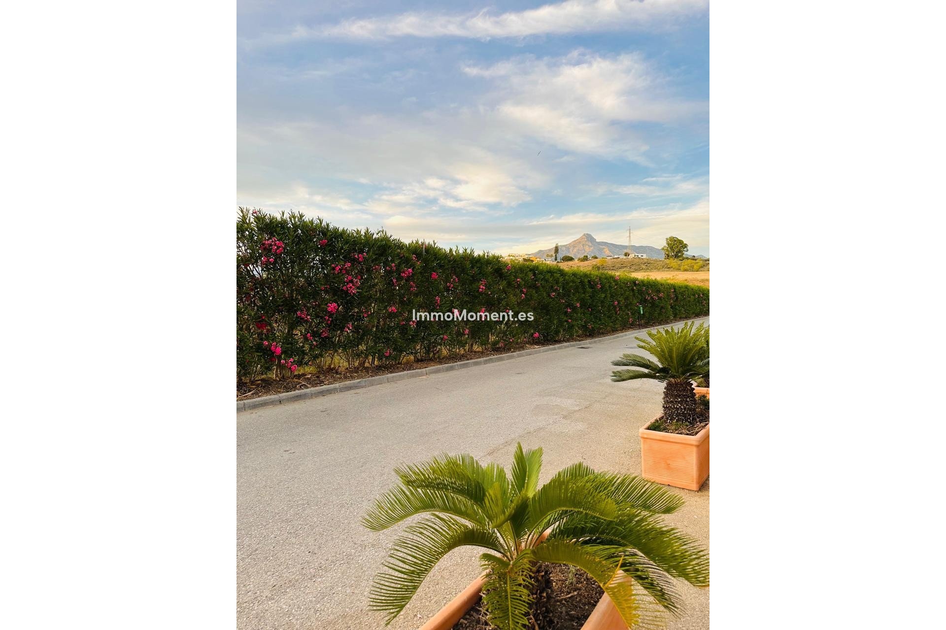 Resale - Townhouse - Marbella - Nueva Andalucía