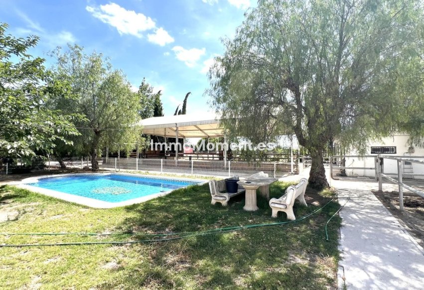 Resale - Townhouse - Orihuela - Orihuela Centro