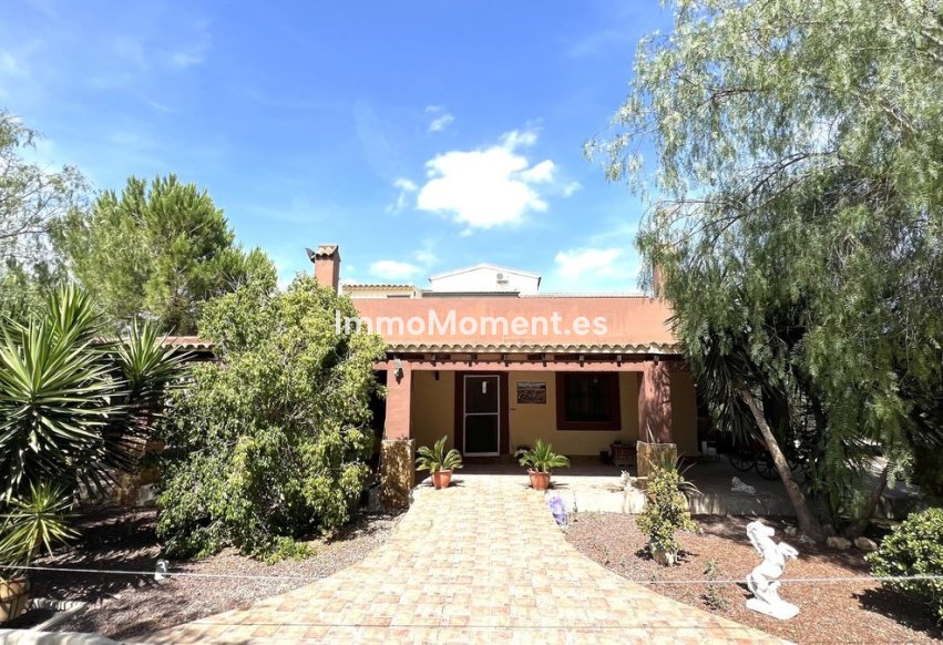 Resale - Townhouse - Orihuela - Orihuela Centro