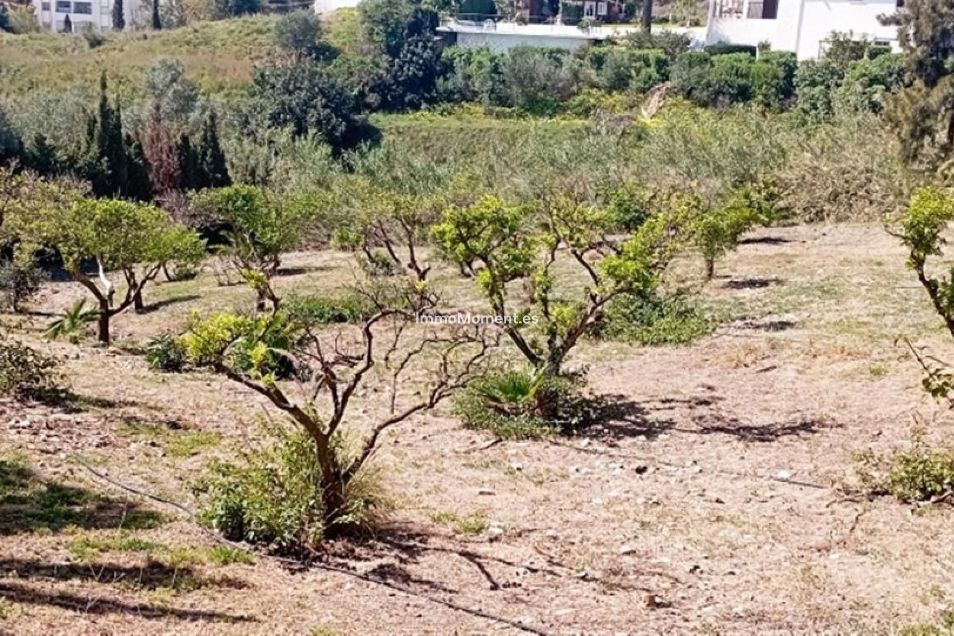 Resale - Villa - Benalmadena - Benalmadena Costa