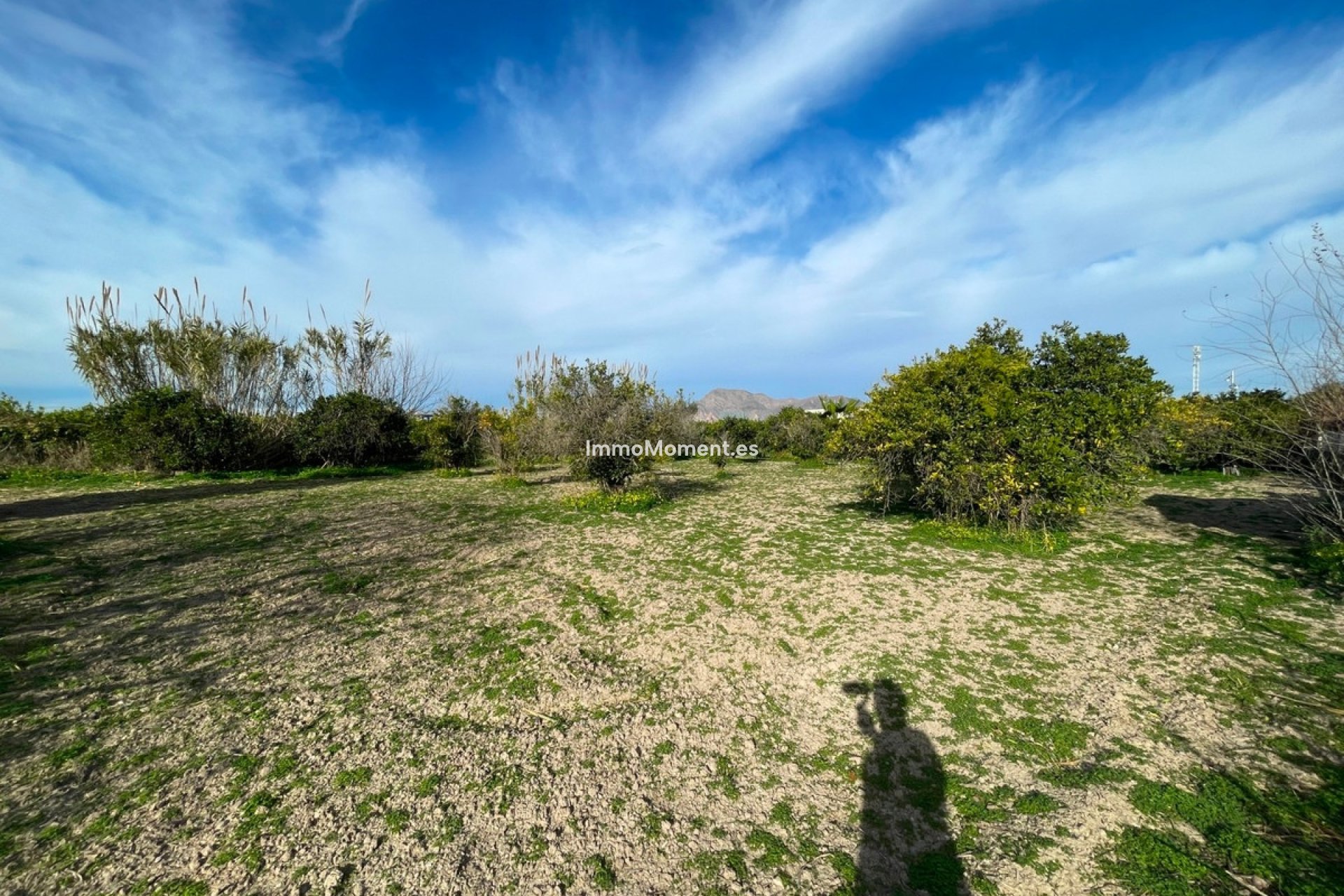 Resale - Villa - Benejúzar - Benejuzar Centro