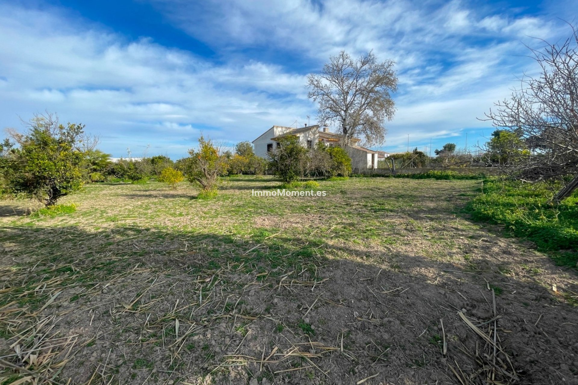 Resale - Villa - Benejúzar - Benejuzar Centro