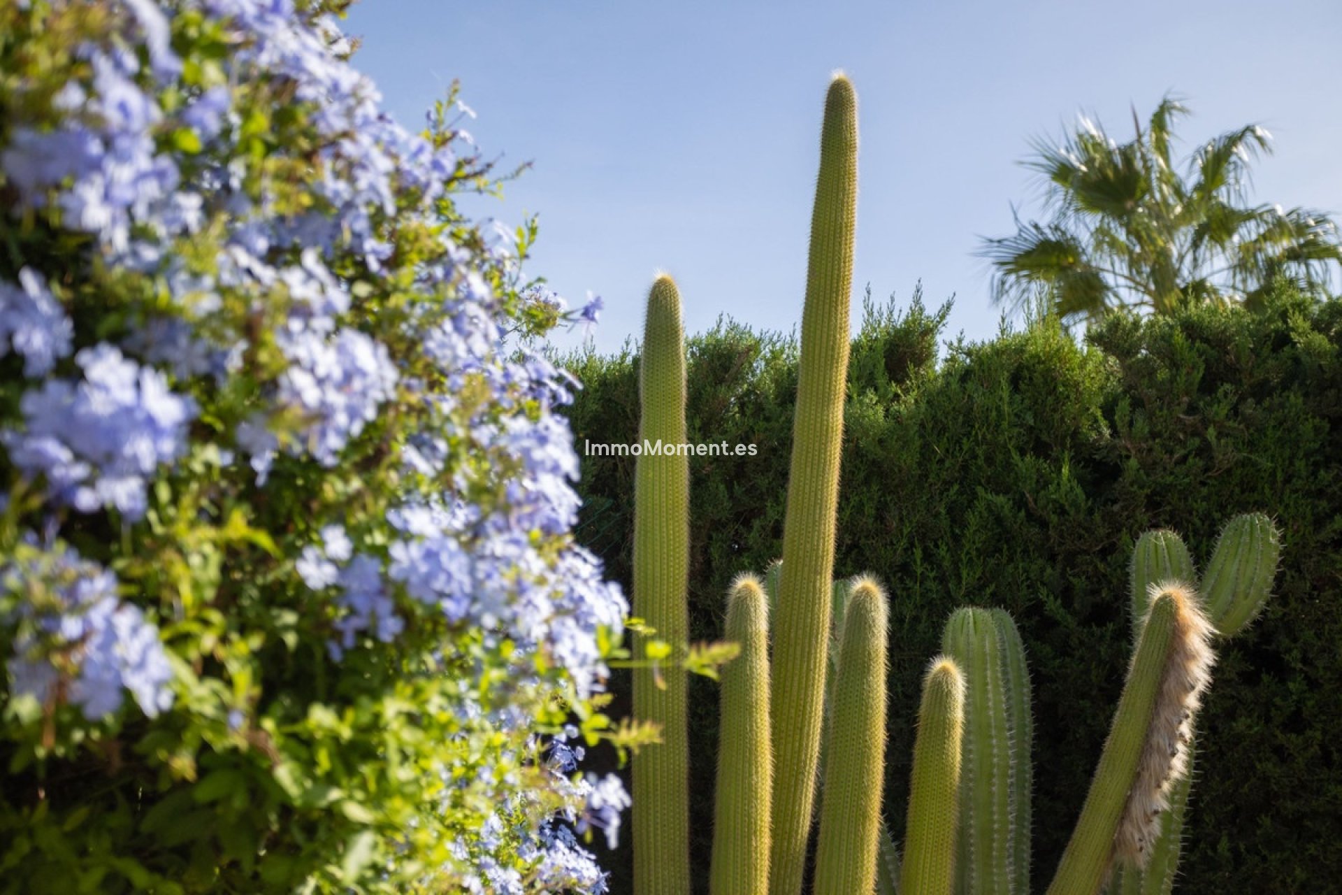 Resale - Villa - Cartagena - Playa Honda