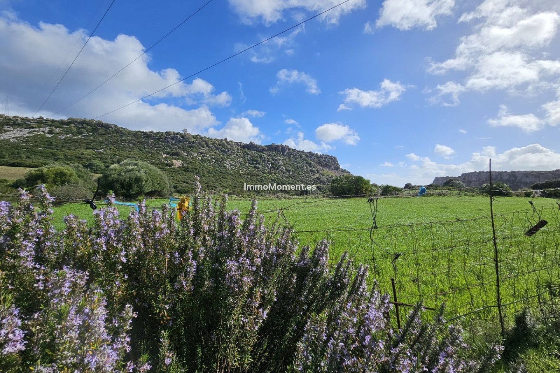 Resale - Villa - Casares - Casares Centro