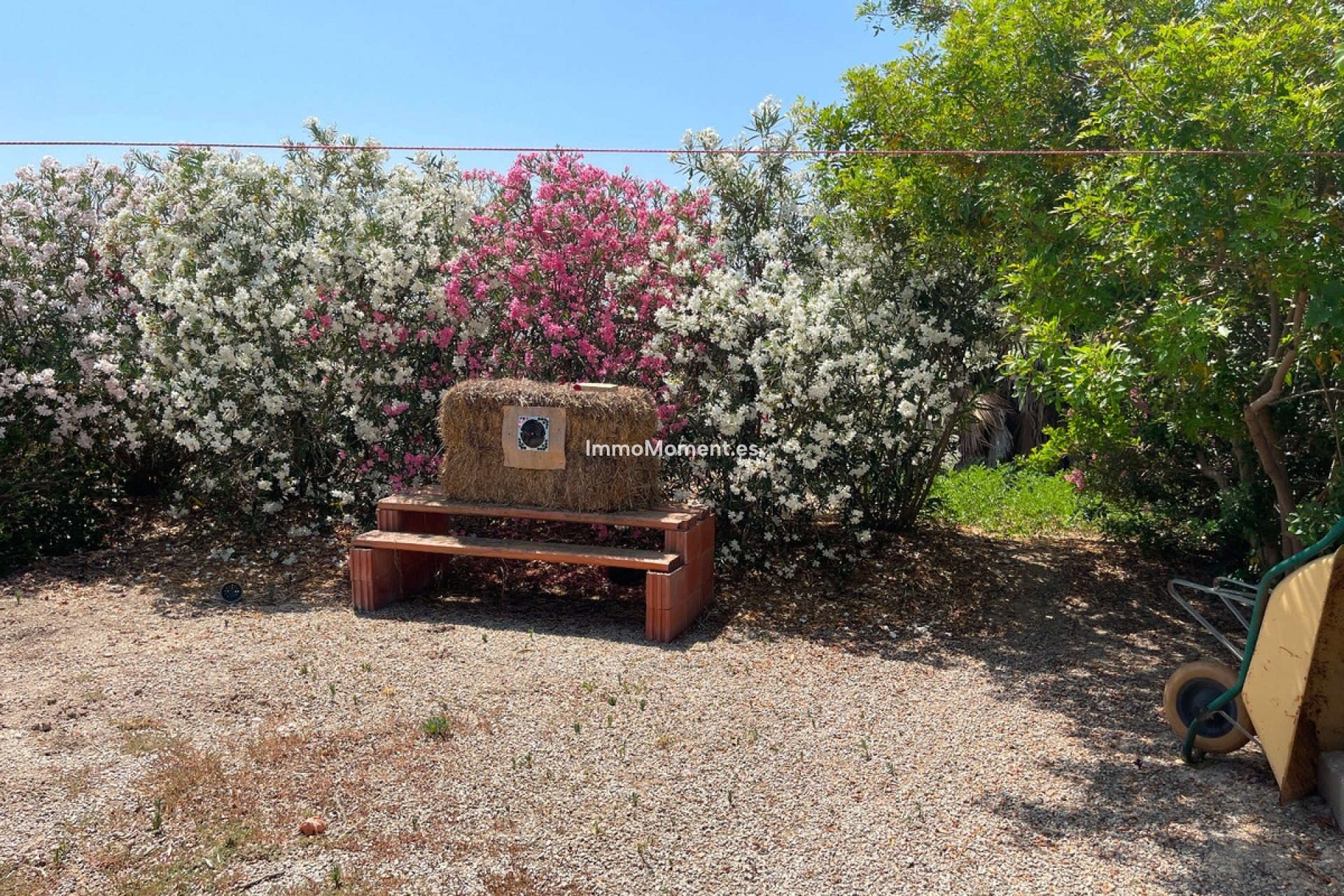 Resale - Villa - Daya Nueva - Daya Nueva Centro