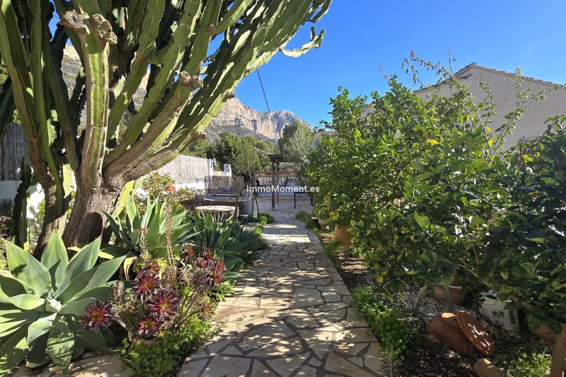 Resale - Villa - Denia - Denia Centro