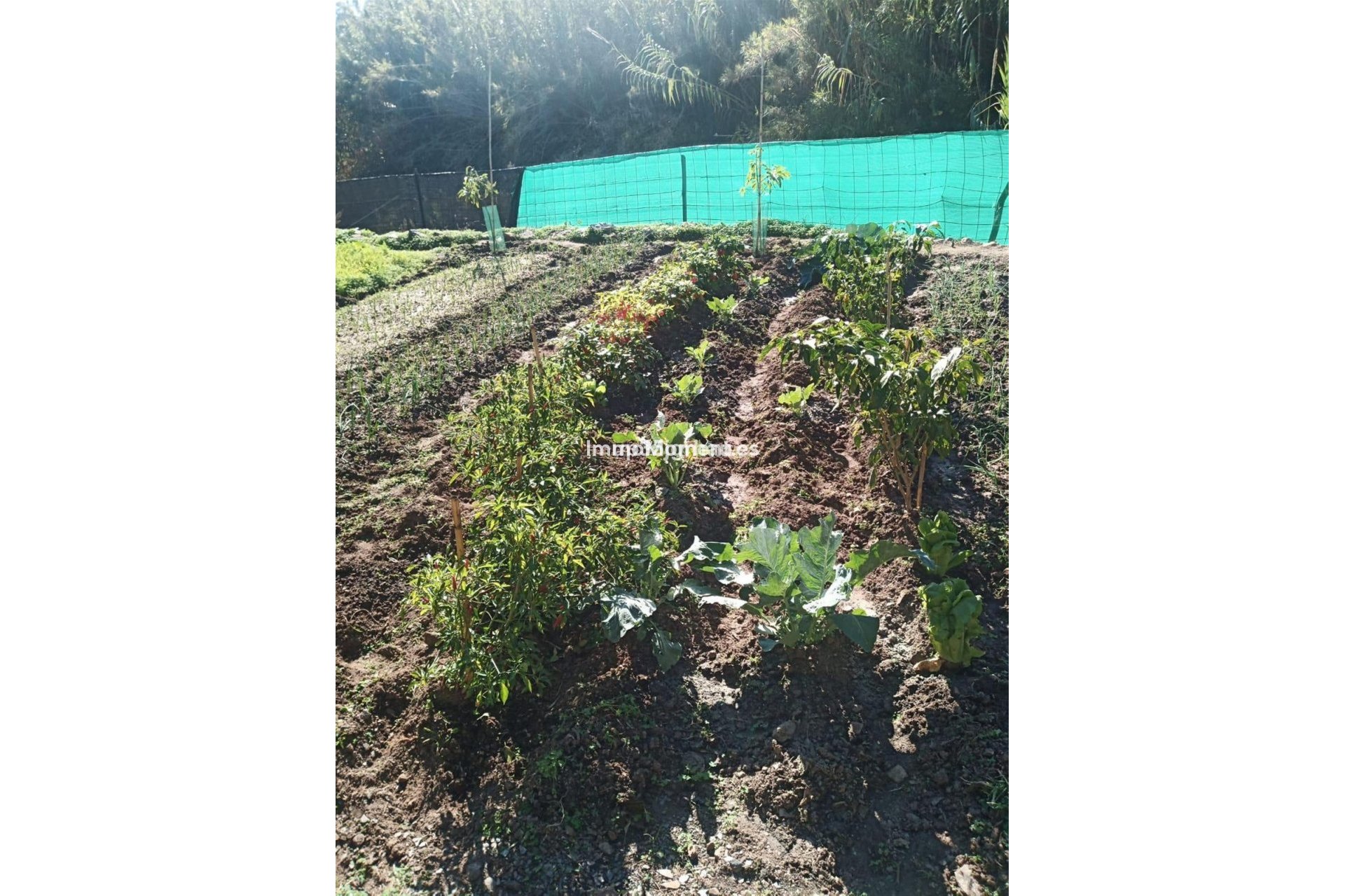 Resale - Villa - Estepona - Estepona Centro