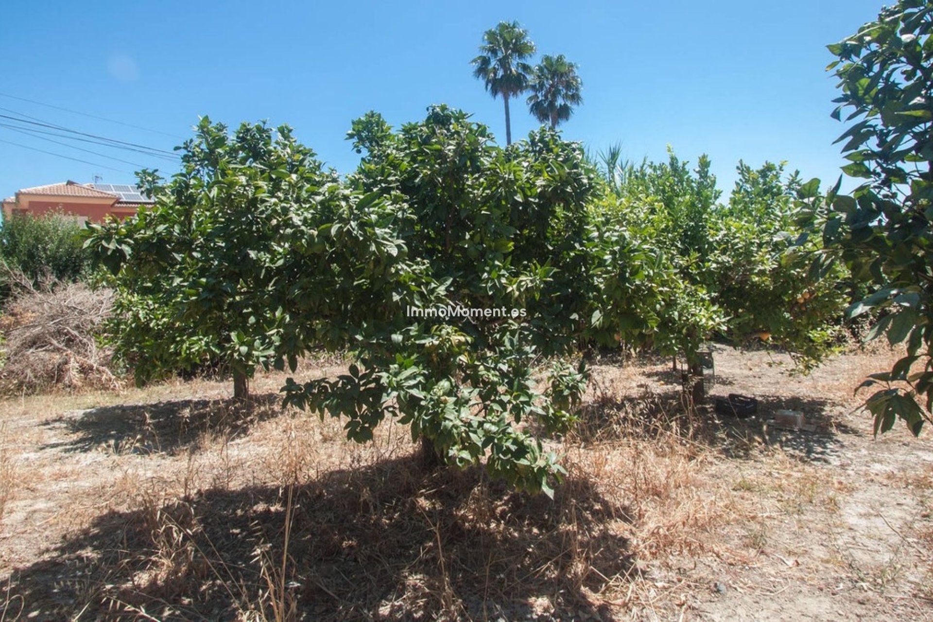 Resale - Villa - Estepona - Estepona Centro