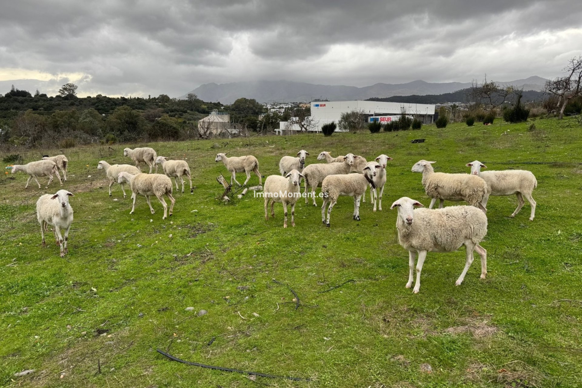 Resale - Villa - Estepona - Estepona Centro