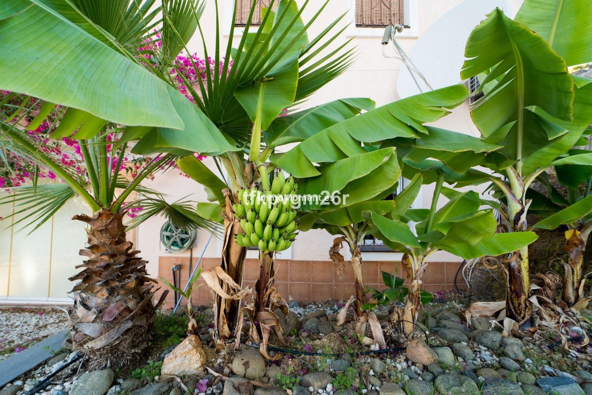 Resale - Villa - Estepona - Estepona Centro