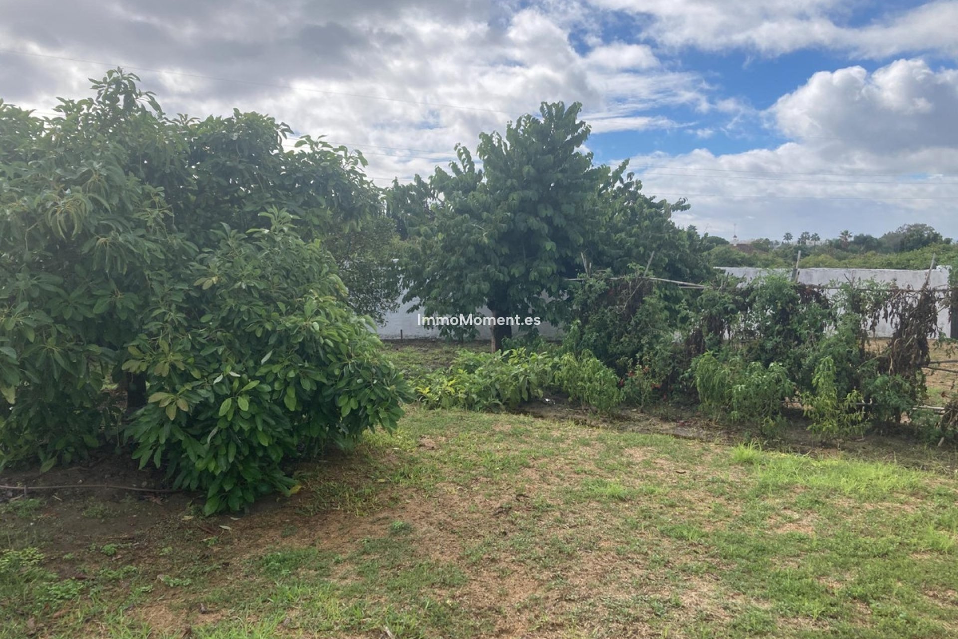 Resale - Villa - Estepona - New Golden Mile