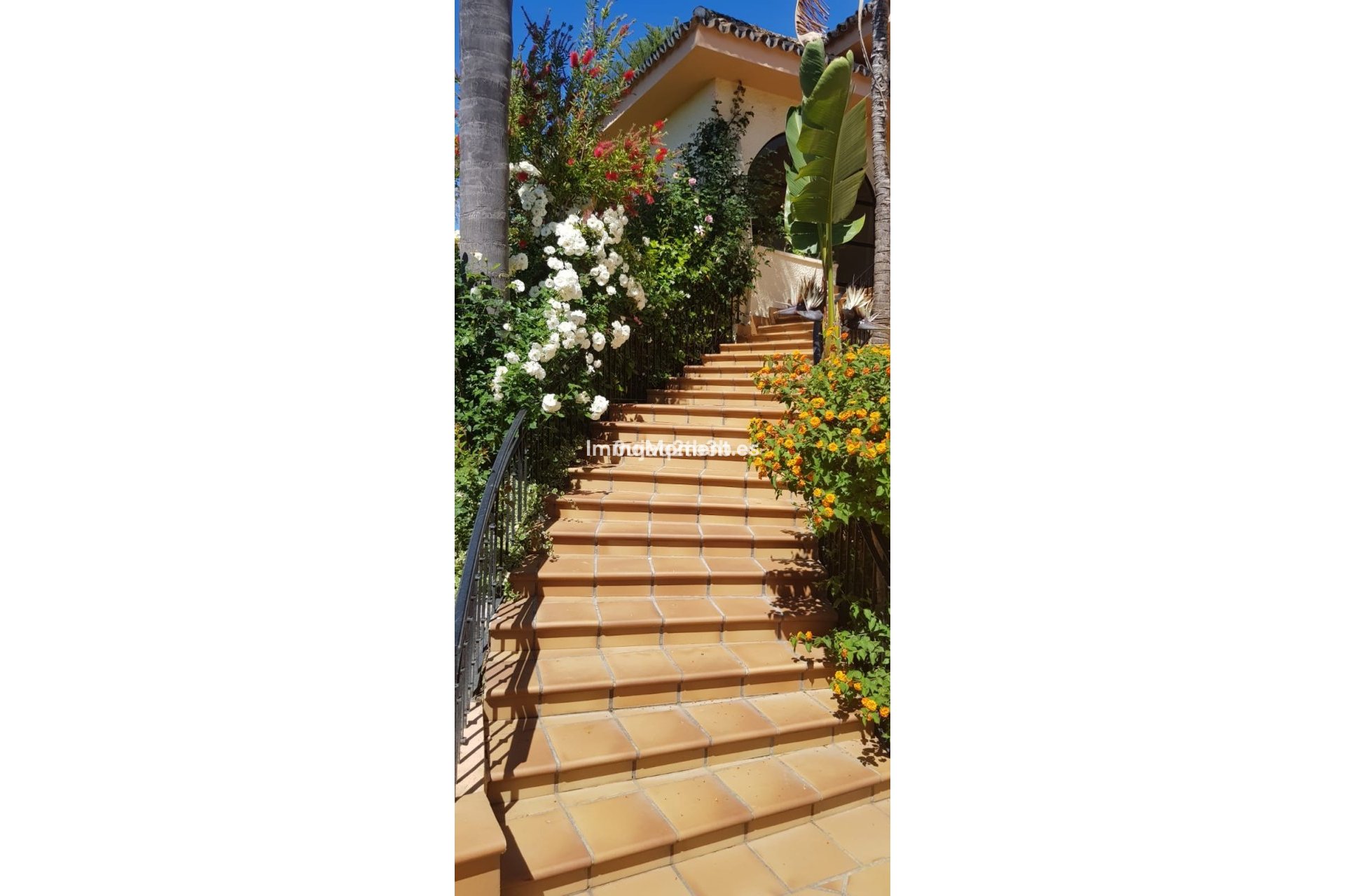 Resale - Villa - Estepona - New Golden Mile