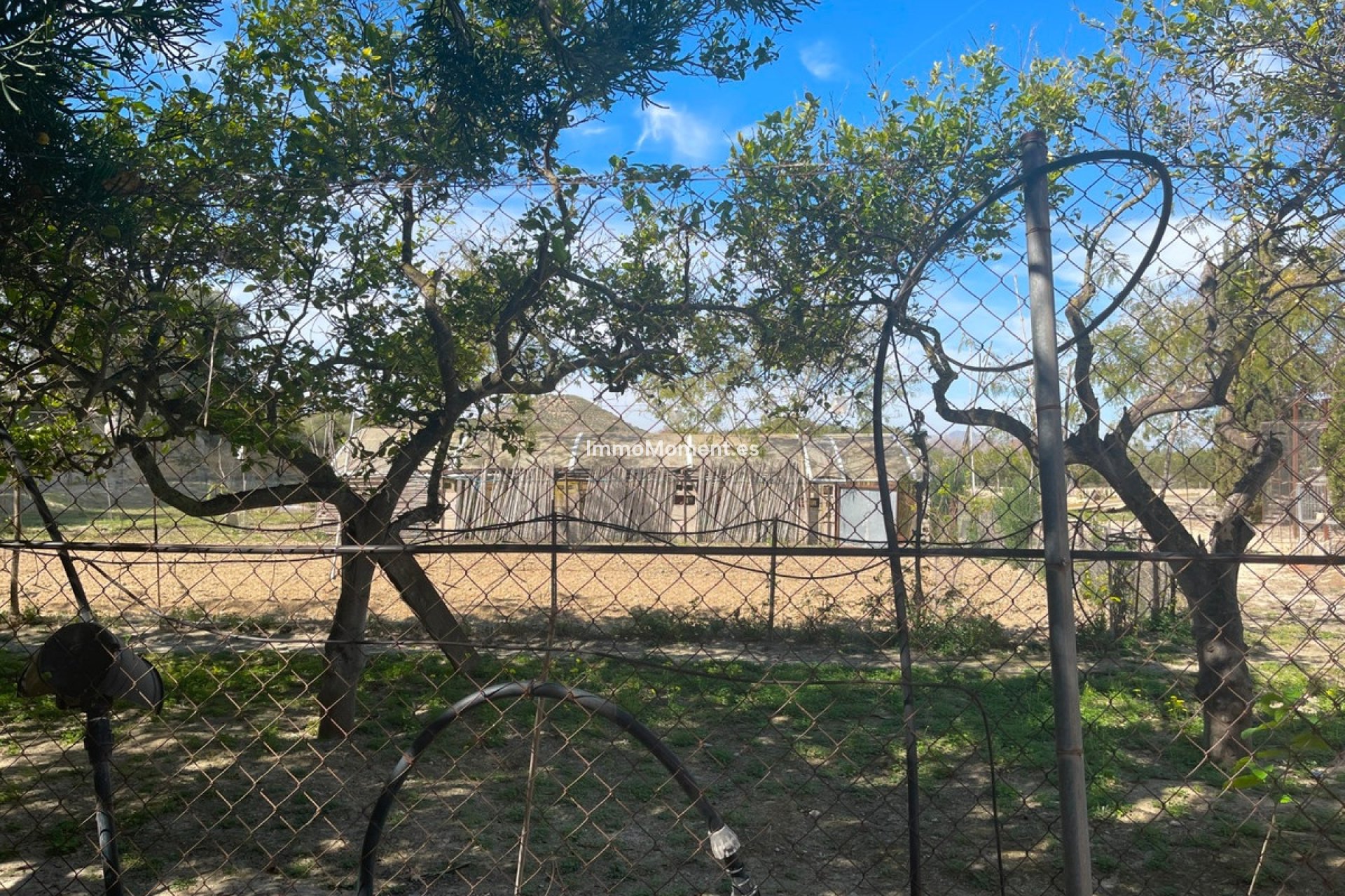 Resale - Villa - Guardamar del Segura - Guardamar del Segura Centro