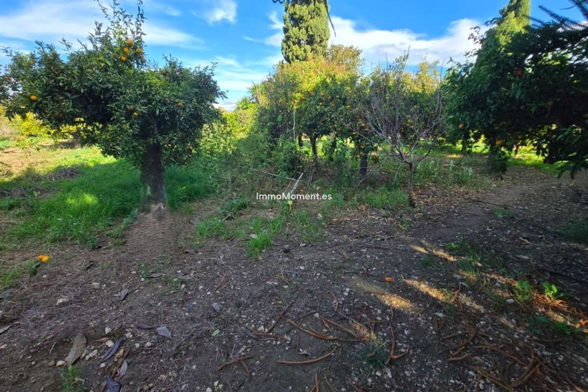 Resale - Villa - Inland  - Alhaurín de la Torre