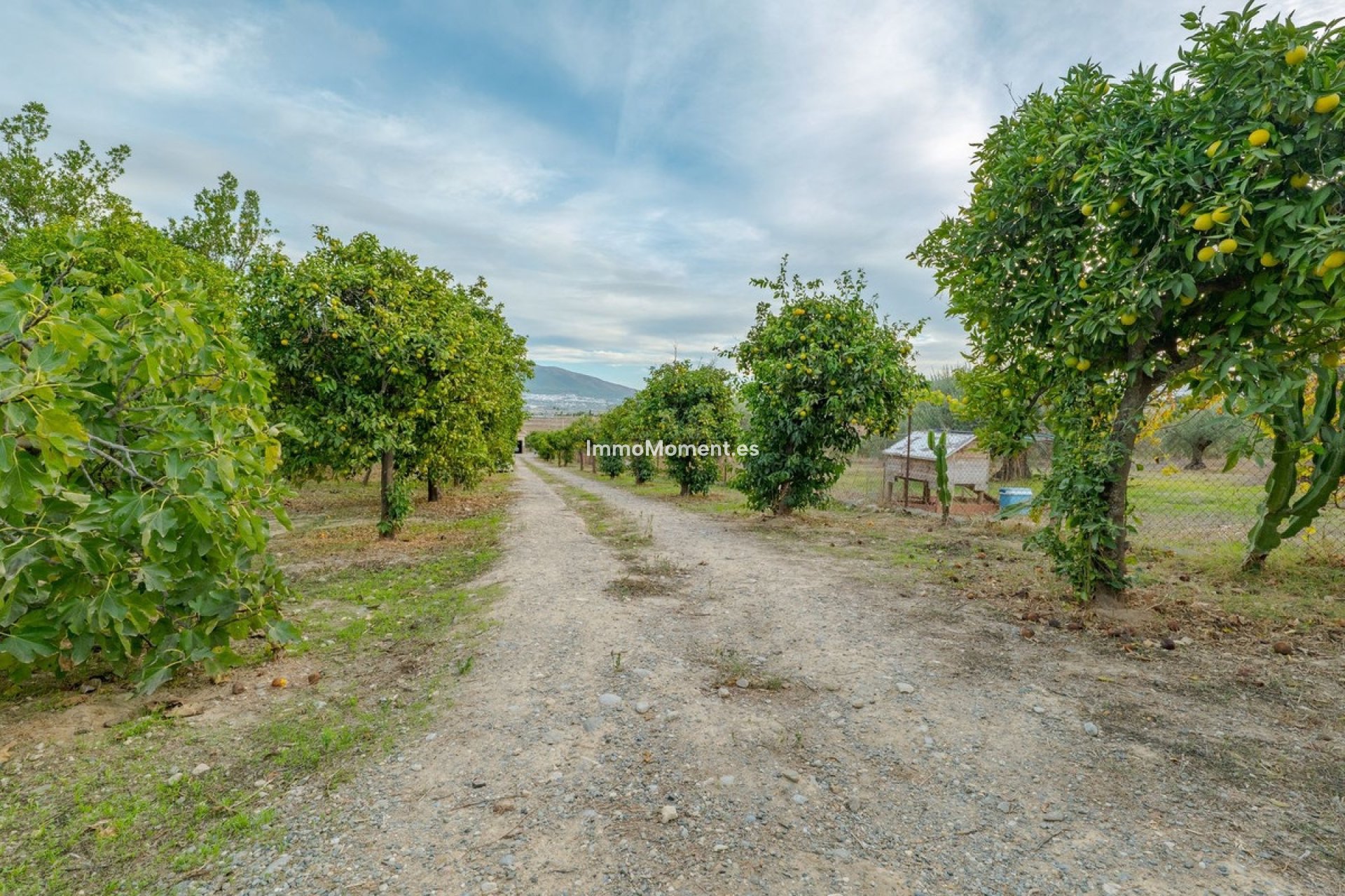 Resale - Villa - Inland  - Alhaurín el Grande Centro