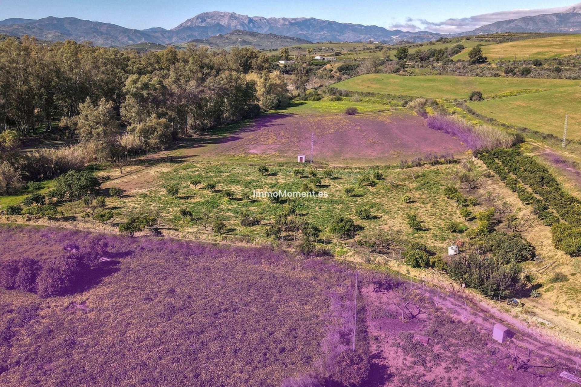 Resale - Villa - Inland  - Coín