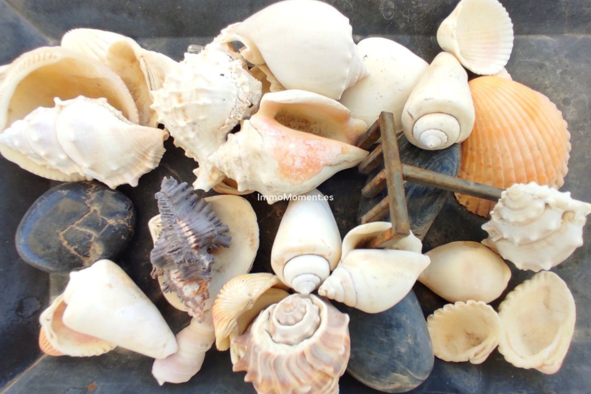 Resale - Villa - Inland  - Coín