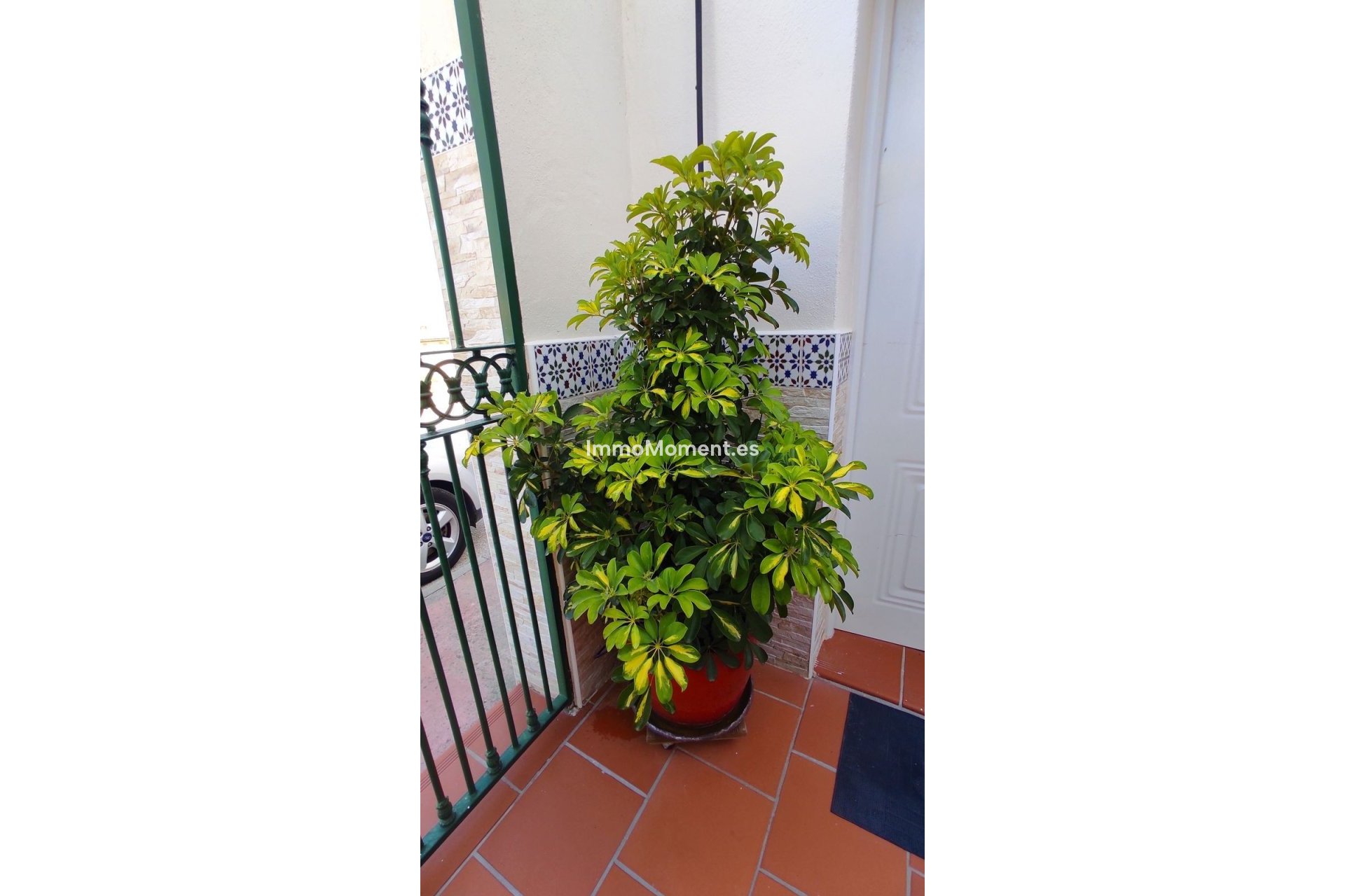 Resale - Villa - Inland  - Coín