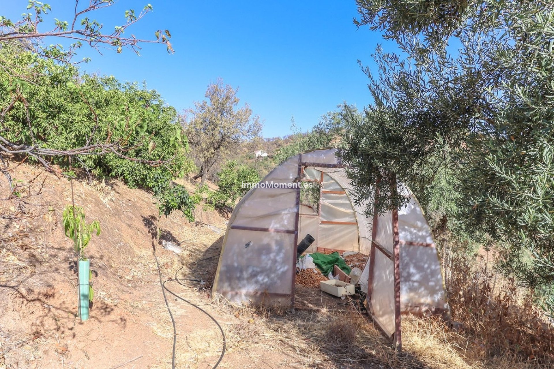 Resale - Villa - Inland  - Guaro