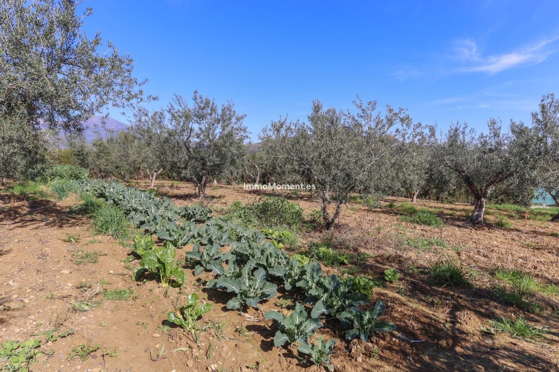 Resale - Villa - Inland  - Guaro