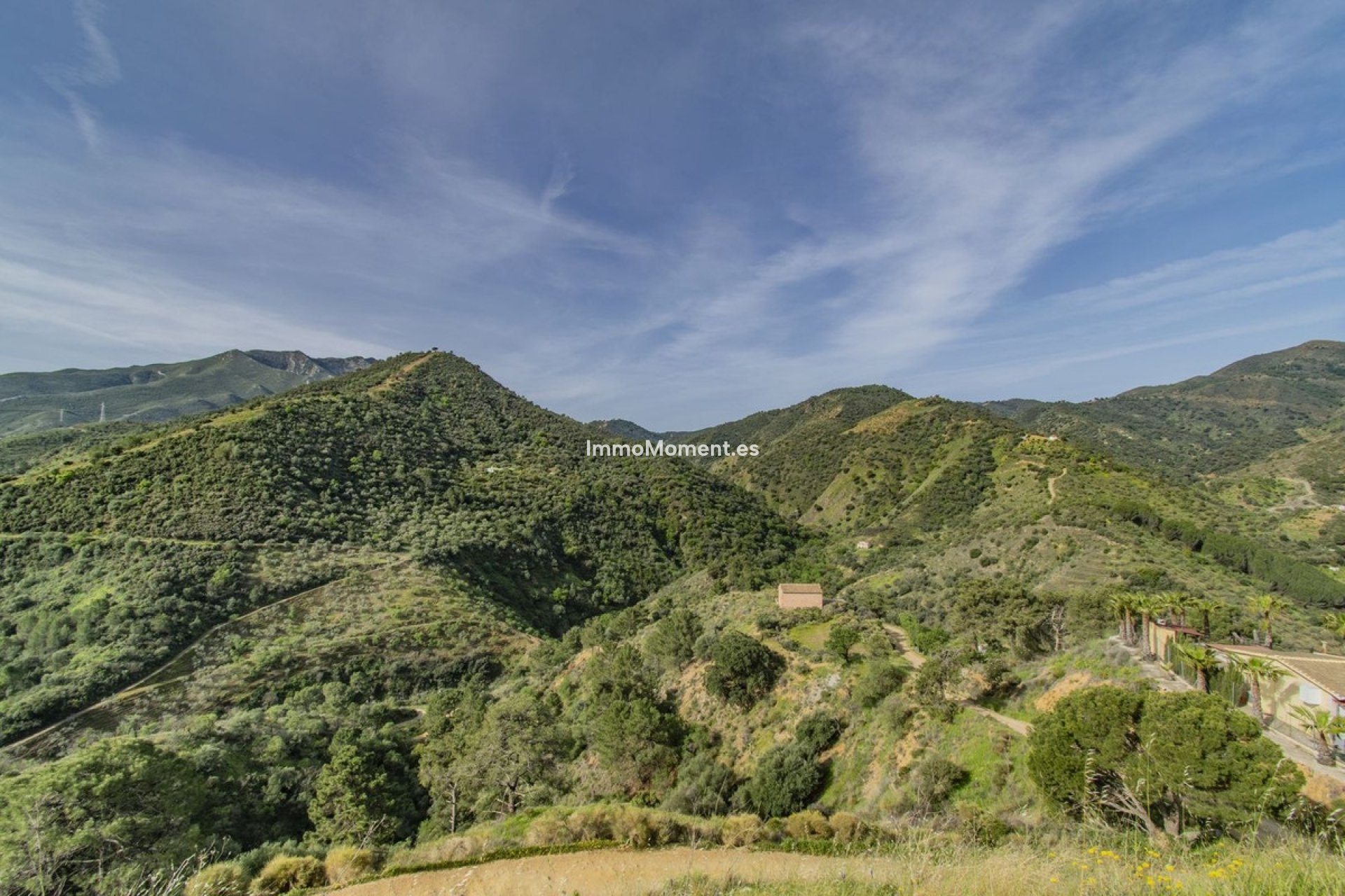 Resale - Villa - Inland  - Monda