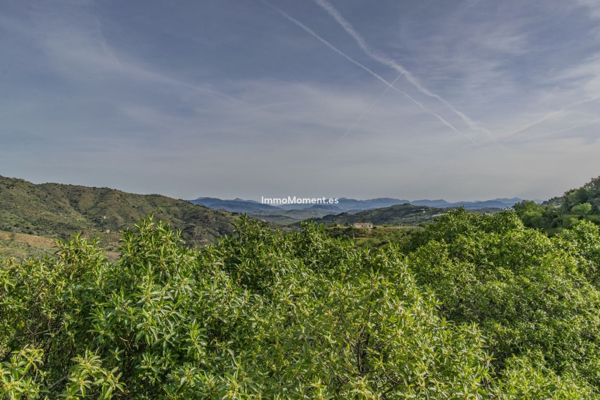 Resale - Villa - Inland  - Monda